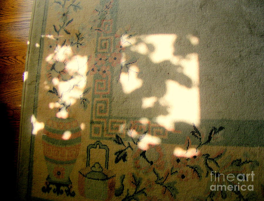 The Shadow Photograph by Nancy Kane Chapman