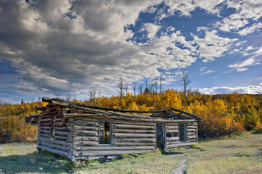 The Shane Cabin  Photograph by Gary Langley