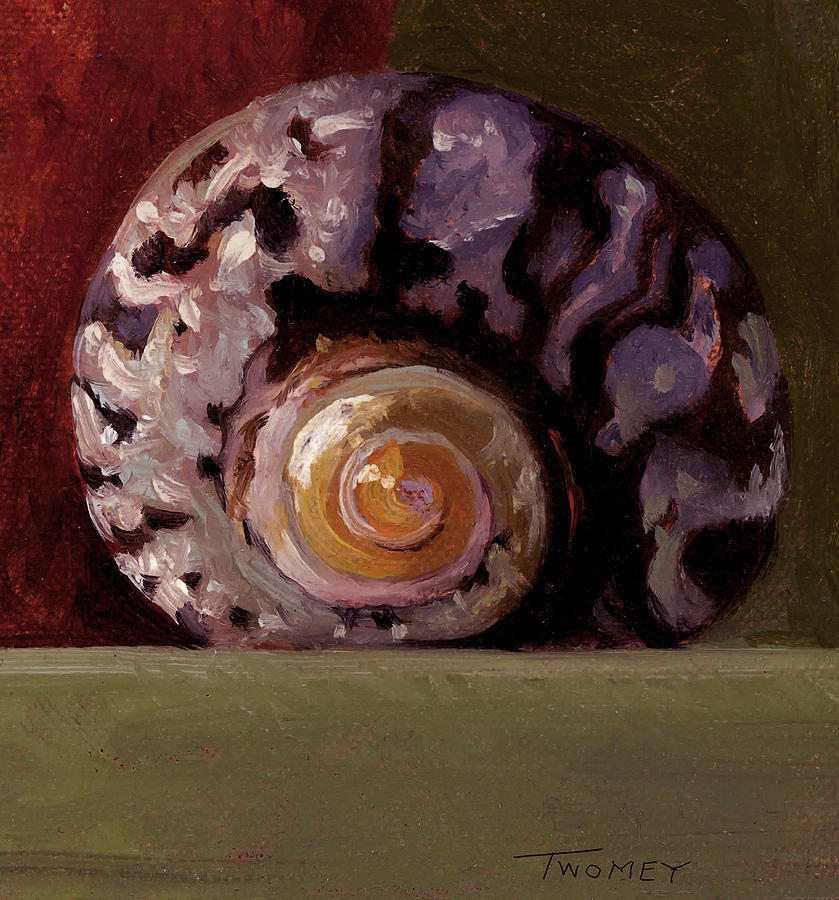 Still Life Painting - The Shape Of Nautilus, A Seashell by Catherine Twomey