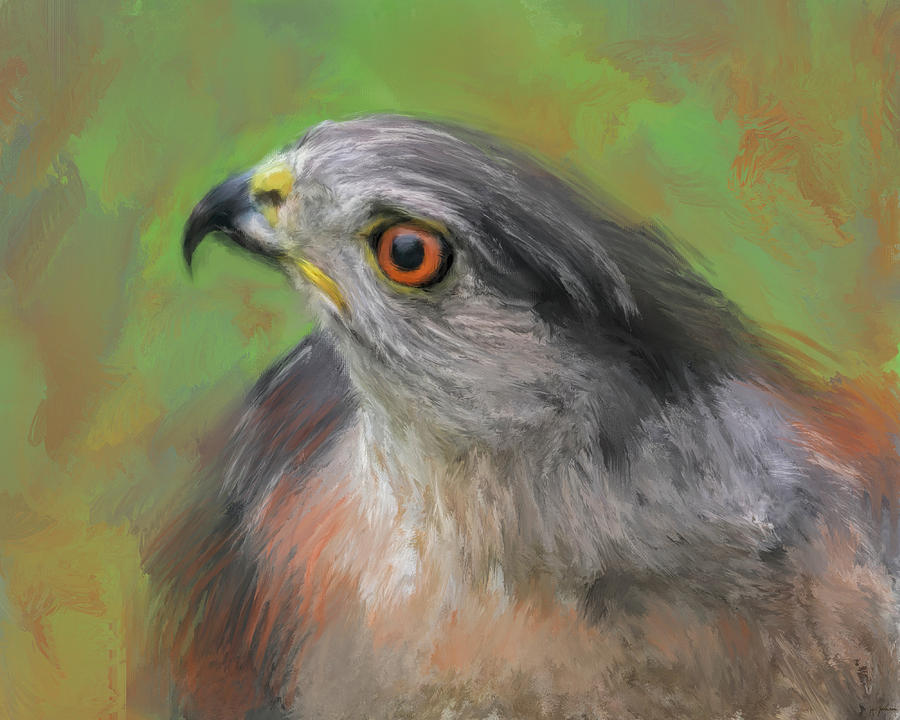Abstract Painting - The Sharp Shinned Hawk by Jai Johnson