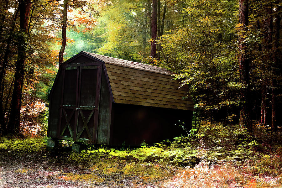 The Shed Photograph by Reynaldo Williams