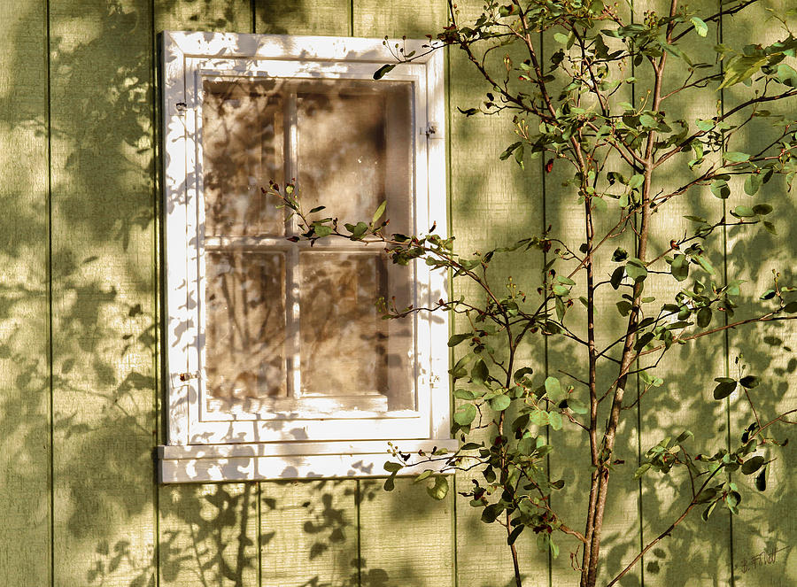 The Shed Window Photograph by Bonnie Follett