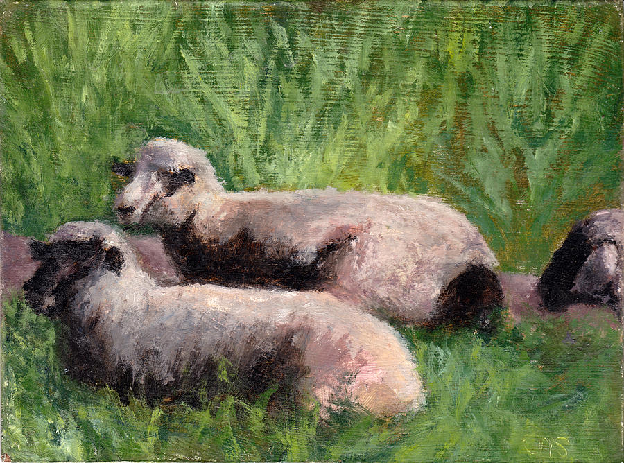 Animals Painting - The Sheep are Resting by Chris Neil Smith Animals Painting - The Sheep are Resting by Chris Neil Smith