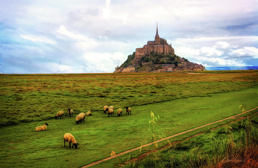 The Sheep of Mont Saint Michel Photograph by Diana Haronis