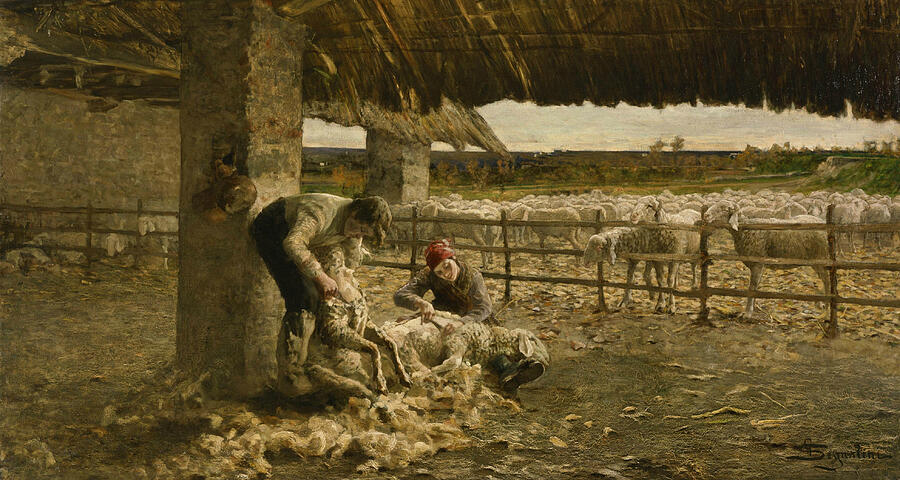 The Sheepshearing, from 1883-1884 Painting by Giovanni Segantini