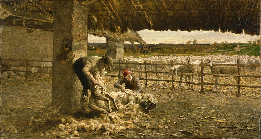 The Sheepshearing Painting by Giovanni Segantini