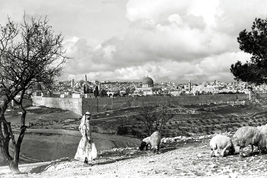 The Shepherd 1934 Photograph by Munir Alawi
