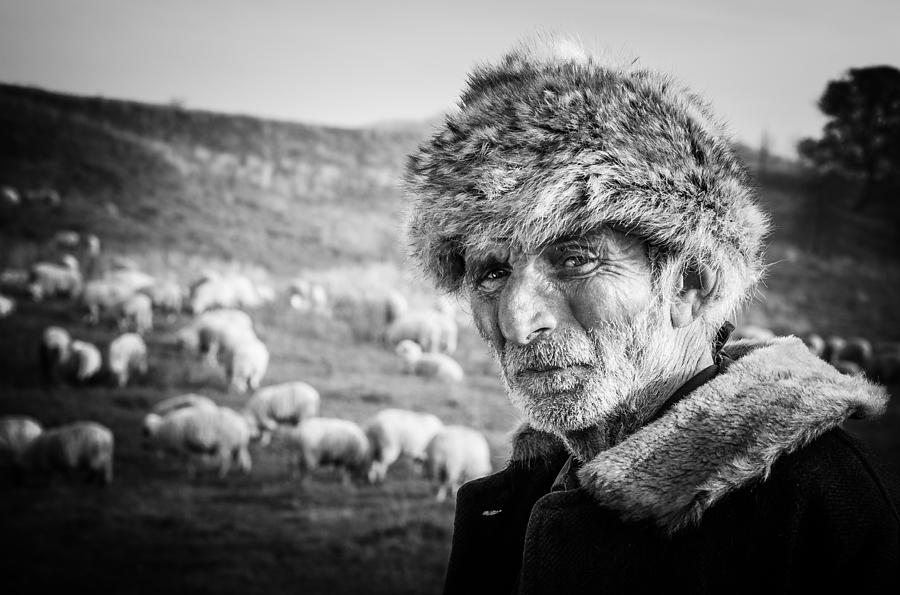 Sheep Photograph - The Shepherd by Cornel Mosneag