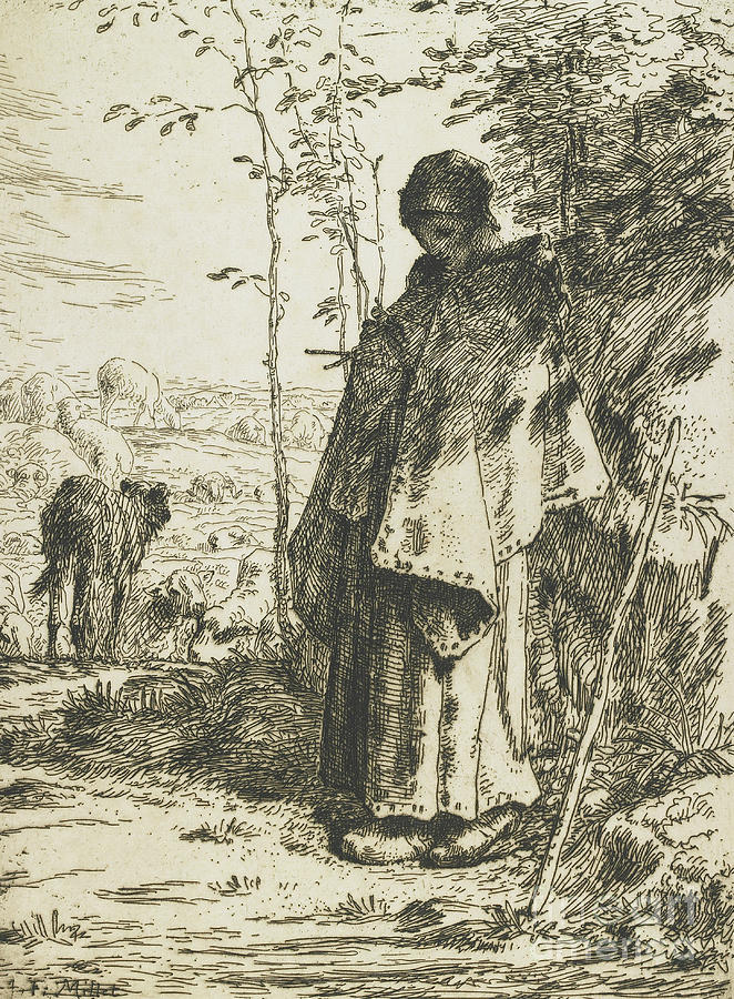 The Shepherdess Knitting, 1862 Drawing by Jean Francois Millet