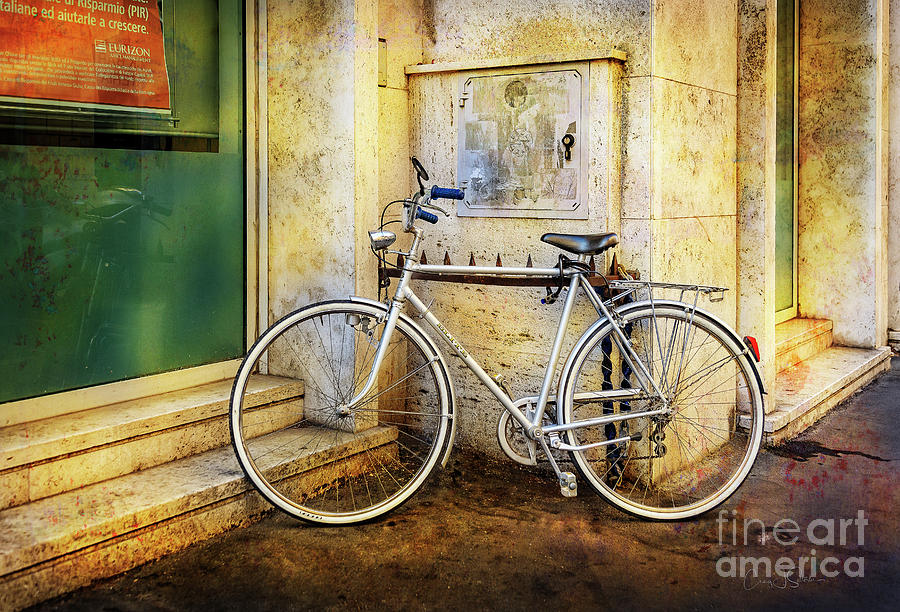The Shinning Elite Bicycle Photograph by Craig J Satterlee