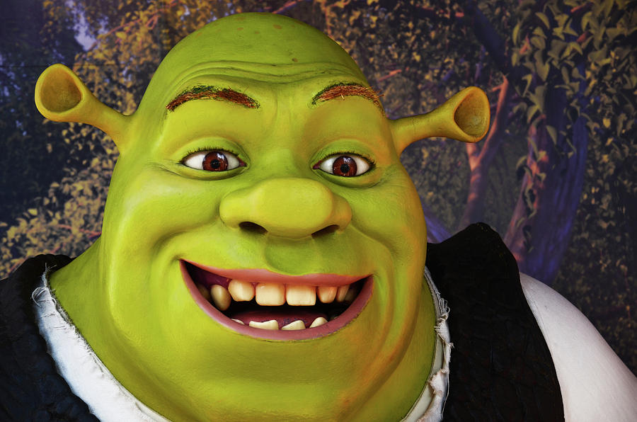 The Shrek Photograph by Soma Halder | Fine Art America