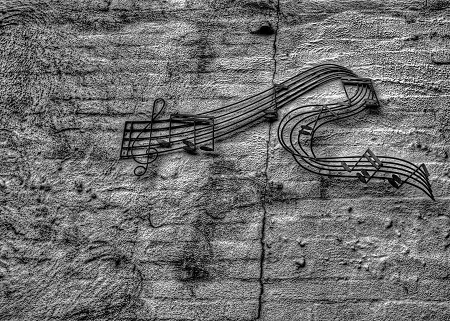 The Sight of Music Photograph by David Zarecor