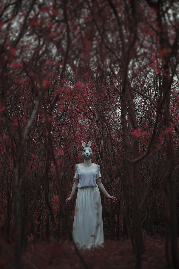 Tree Photograph - The silence of the woods by Art of Invi
