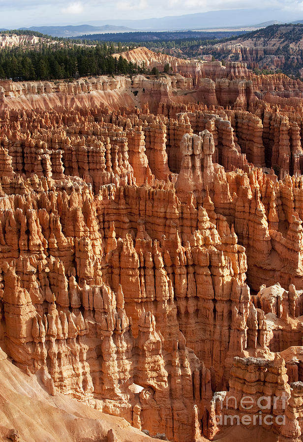 Bryce Canyon National Park Photograph - The Silent City by Sandra Bronstein