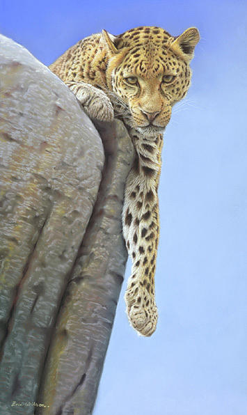 Wildlife Painting - The silent watcher by Eric Wilson