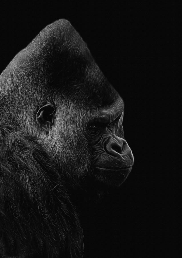 Animal Digital Art - The Silverback Gorilla BW by Ernest Echols