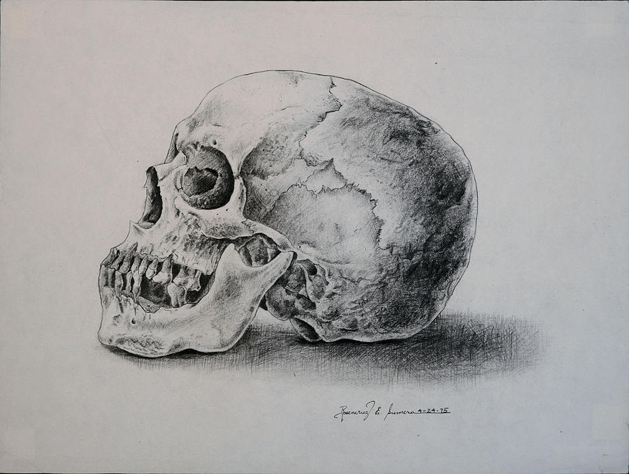The Skull Drawing by Rosencruz  Sumera