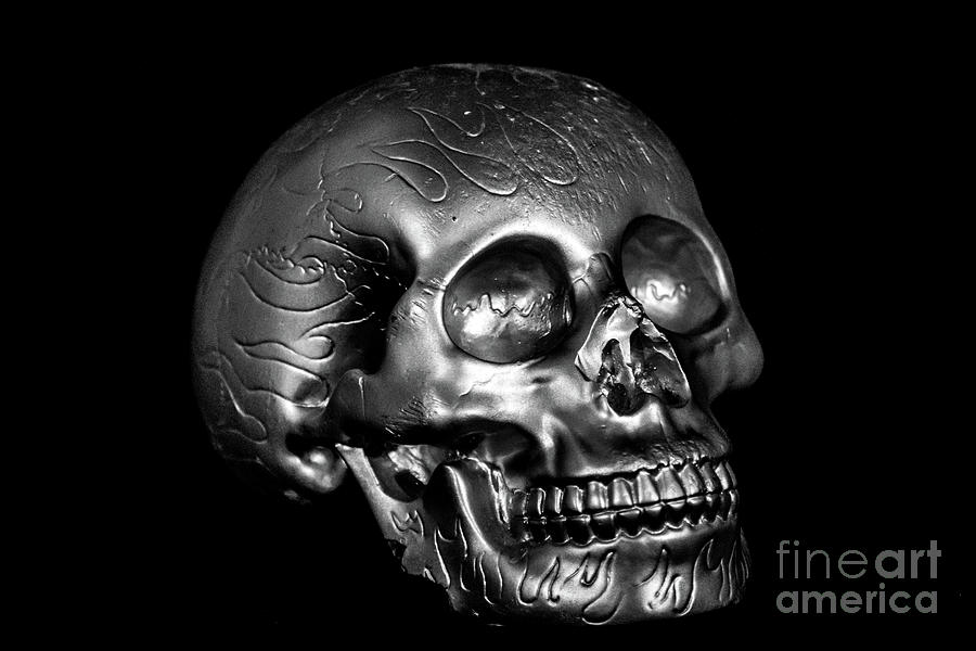 The Skull - Silver 01 Photograph