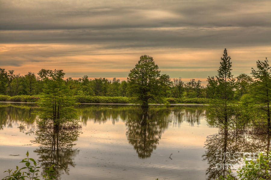 Landscape Photograph - The sky is the Daily Bread of the Eyes by Larry Braun