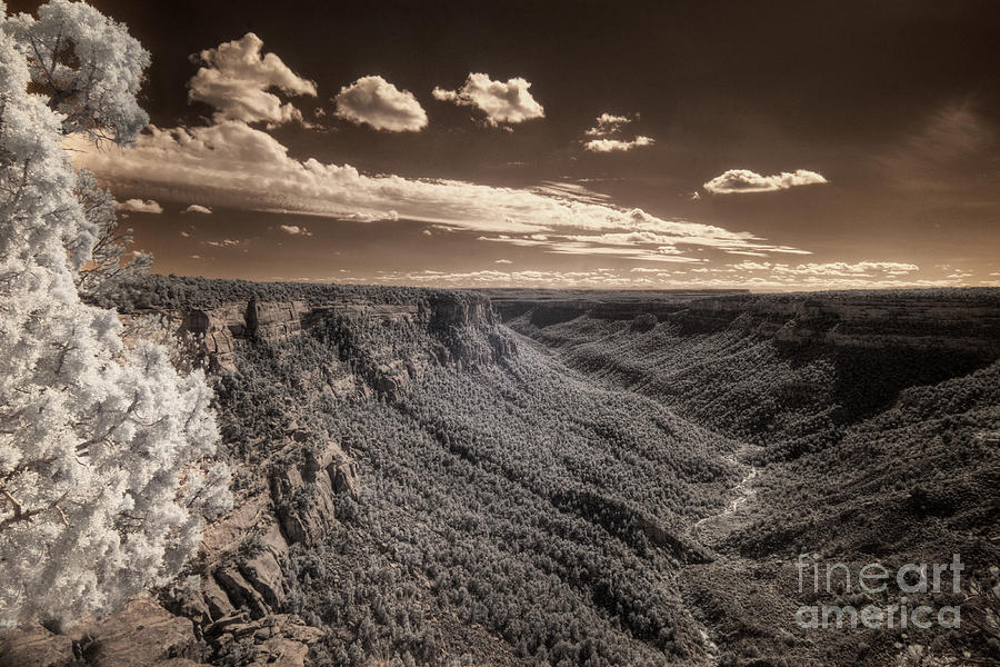 Mountain Digital Art - The Sky Tilts Down to the Canyon by William Fields