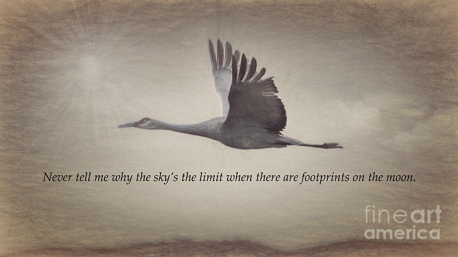 Crane Photograph - The Skys The Limit by Janice Pariza