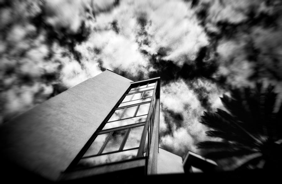 Black And White Photograph - The skys the limit by Silvia Ganora