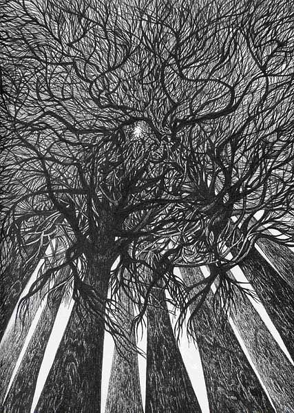 The skyscrapers of the forest Drawing by Anna  Duyunova
