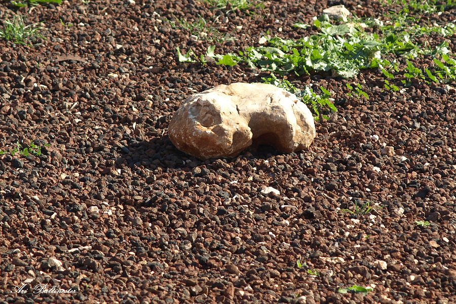 The sleeping stone. Photograph by Arik Baltinester