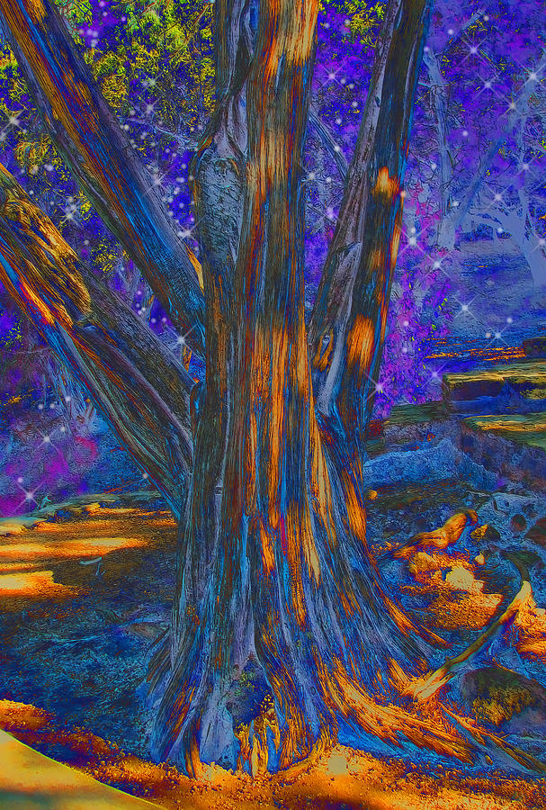 Tree Digital Art - The Sleeping Tree by Wendy J St Christopher