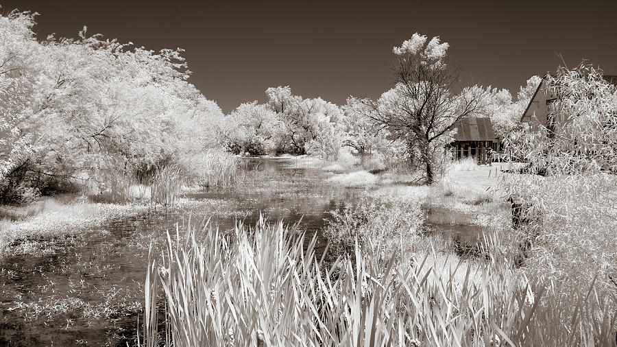 The Slough in Sepia Photograph by James Barber