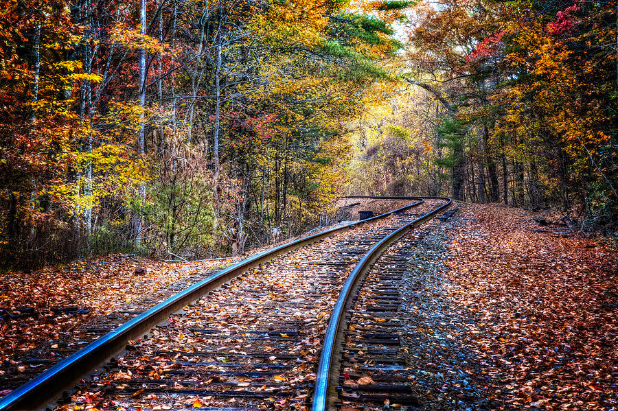 Fall Photograph - The Slow Lane by Debra and Dave Vanderlaan