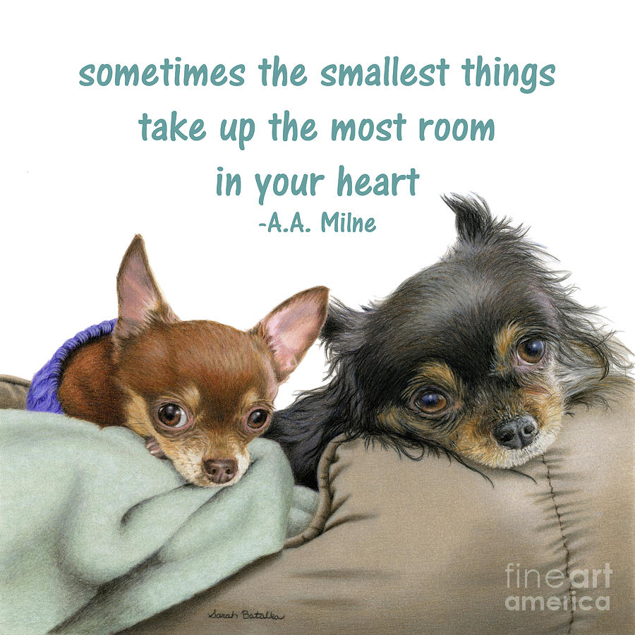 Chihuahuas Drawing - The Smallest Things- Square Format by Sarah Batalka Chihuahuas Drawing - The Smallest Things- Square Format by Sarah Batalka