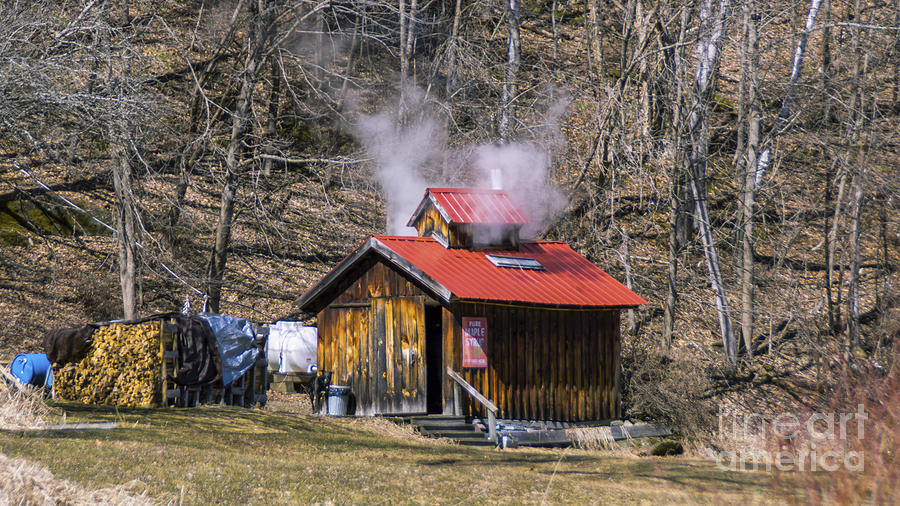 The smell of maple Photograph by Scenic Vermont Photography