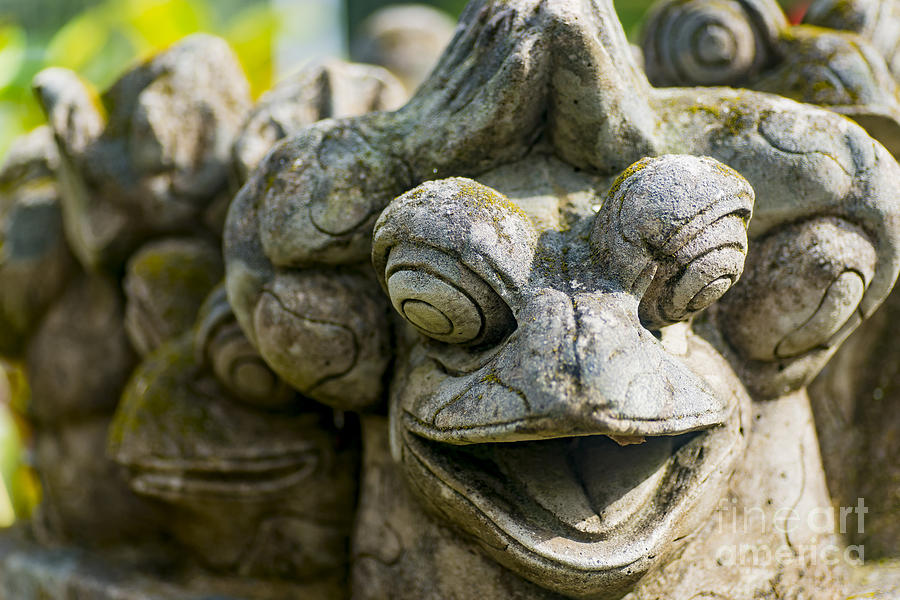 Frog Photograph - the Smiling Frog by Steven Hendricks