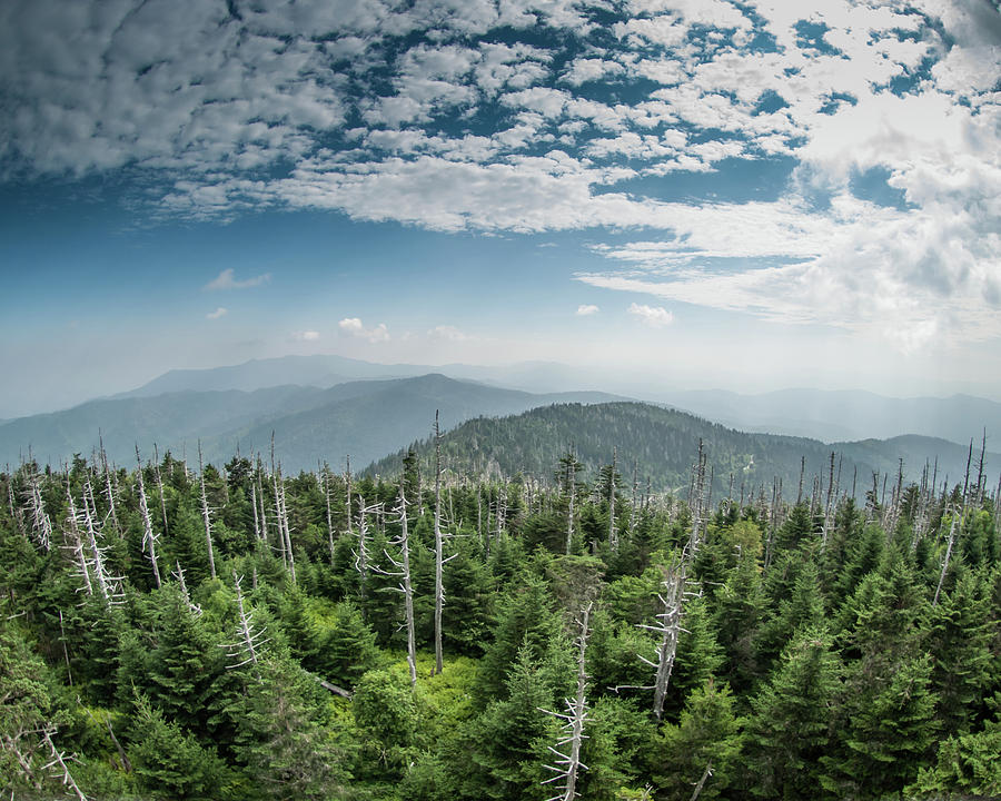 The Smokies from Clingmans Dome Photograph by Kelly VanDellen
