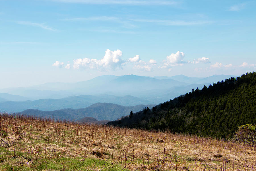 The Smokies from Roan Mountain II Photograph by Jeff Severson