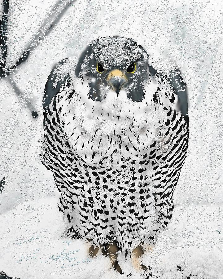 The Snow Falcon Painting by Robert Rearick