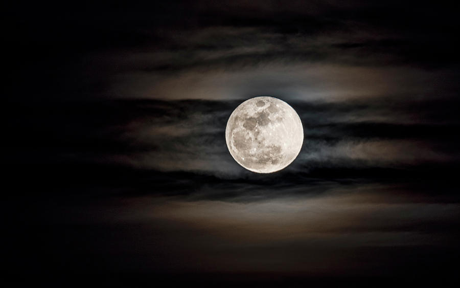The Snow Moon is Arising  Photograph by Saija Lehtonen
