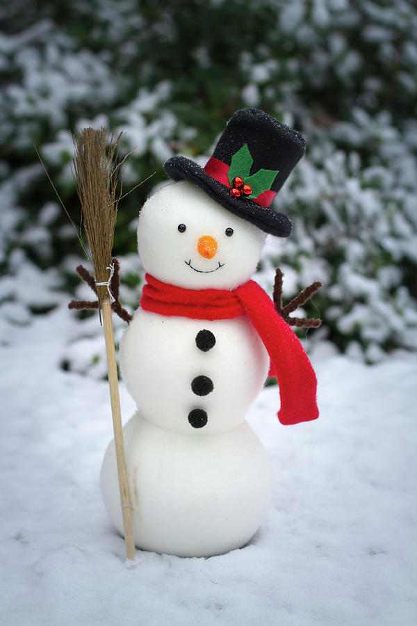 The Snowman On Snowy Ground Photograph