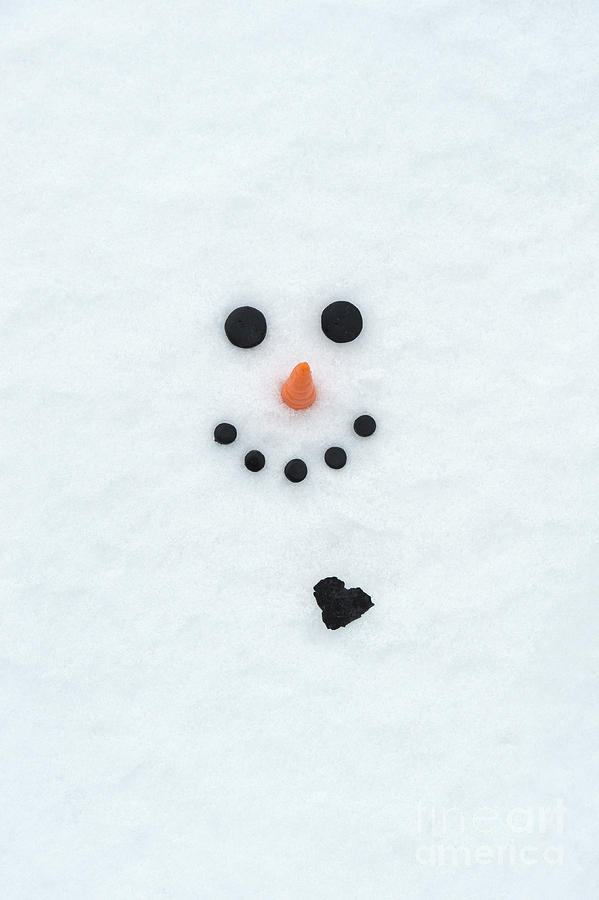 The Snowman Photograph by Tim Gainey