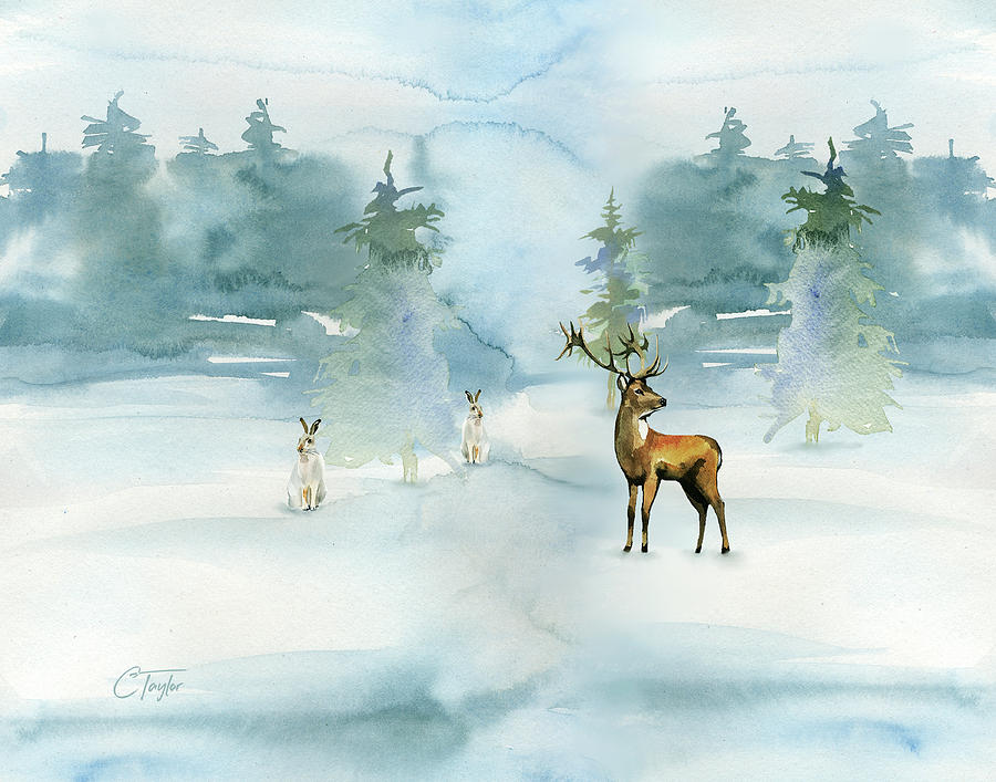 The Soft Arrival of Winter Digital Art by Colleen Taylor