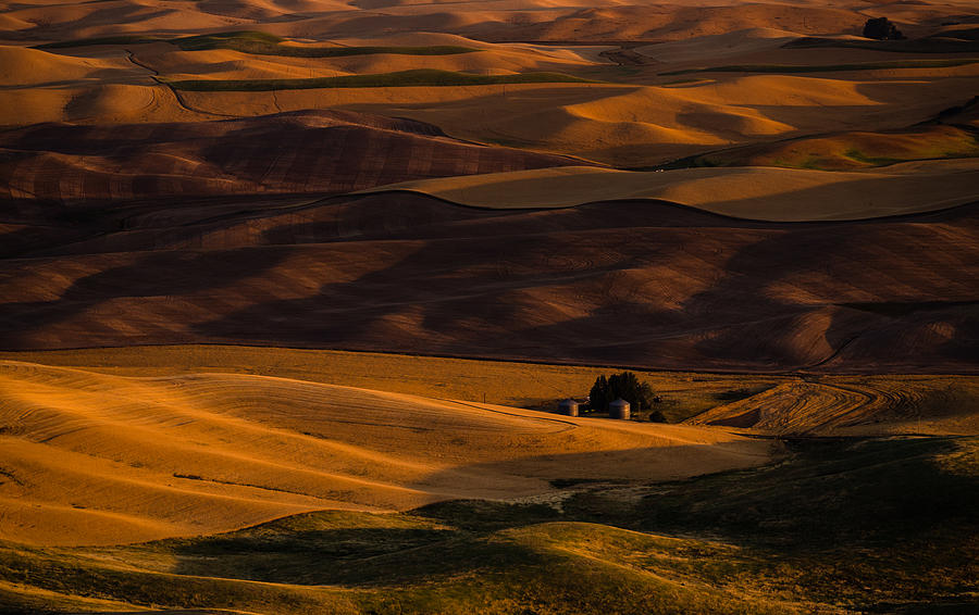 The Soft Hills of Steptoe Butte Photograph by Bo Nielsen