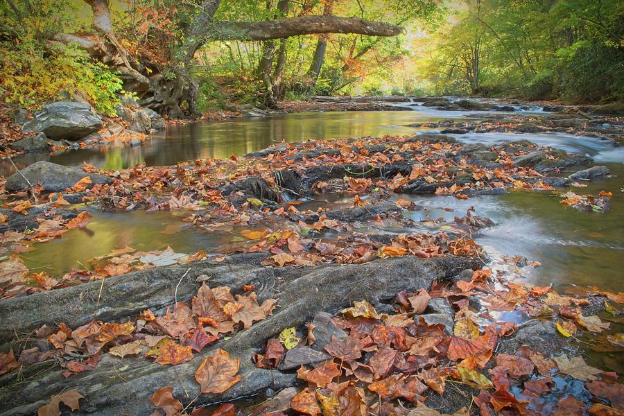 The Soft River Flow Photograph by Sandra Burm - Fine Art America