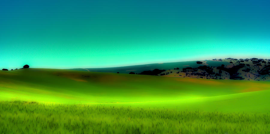 The Soft Rolling Hills of the Palouse Photograph by David Patterson