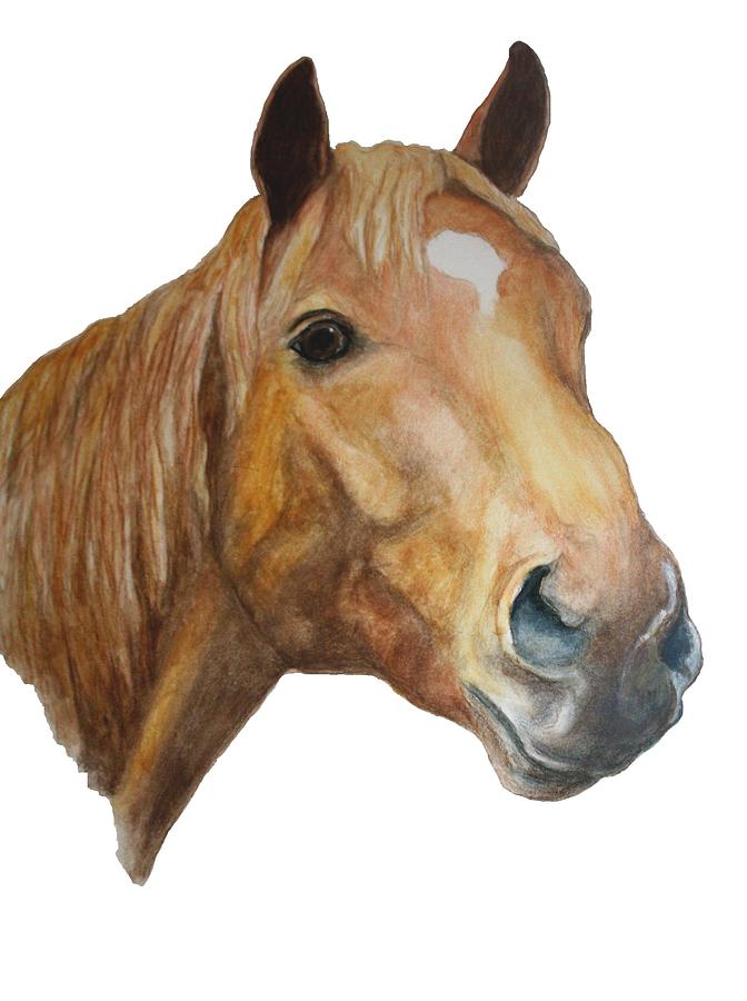 Chestnut Painting - The Sorrell by Debra Sandstrom Chestnut Painting - The Sorrell by Debra Sandstrom