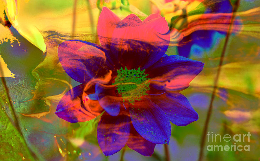 The Soul Around The Flower Abstract Photograph