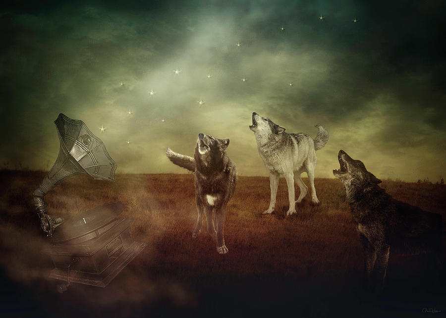 The Sound of Magic by Nicole Wilde The Sound of Magic by Nicole Wilde