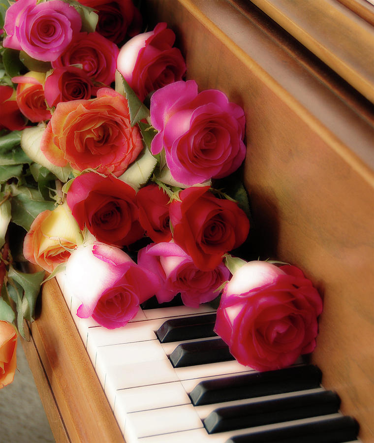 The Sound Of Roses Photograph by Priscilla Huber