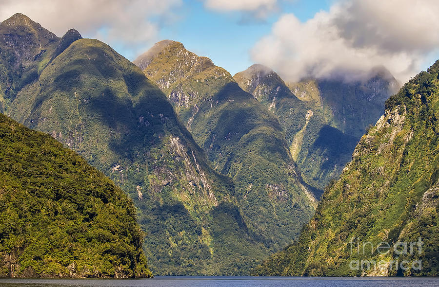 The Sounds in New Zealand Photograph by Patricia Hofmeester
