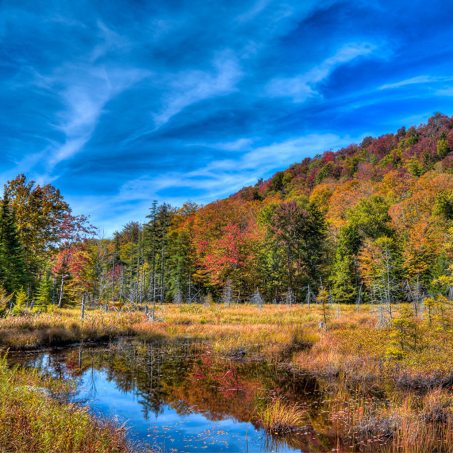 The South End of Bald Mountain Pond Photograph by David Patterson